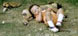 Boy and dog